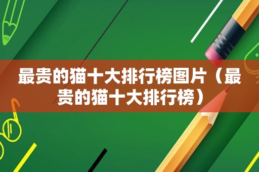 最贵的猫十大排行榜图片（最贵的猫十大排行榜）