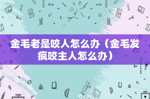 金毛老是咬人怎么办（金毛发疯咬主人怎么办）