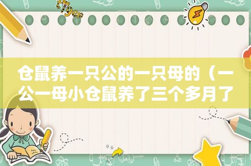 仓鼠养一只公的一只母的（一公一母小仓鼠养了三个多月了）