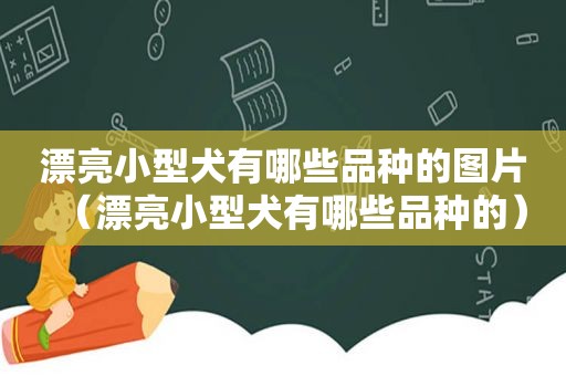 漂亮小型犬有哪些品种的图片（漂亮小型犬有哪些品种的）