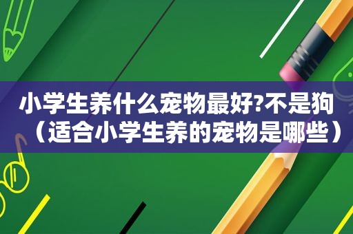小学生养什么宠物最好?不是狗（适合小学生养的宠物是哪些）