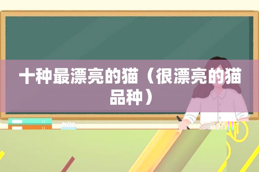 十种最漂亮的猫（很漂亮的猫品种）