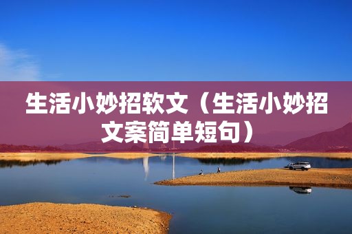 生活小妙招软文（生活小妙招文案简单短句）