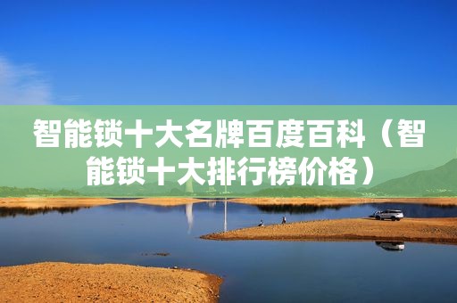 智能锁十大名牌百度百科（智能锁十大排行榜价格）