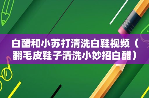 白醋和小苏打清洗白鞋视频（翻毛皮鞋子清洗小妙招白醋）