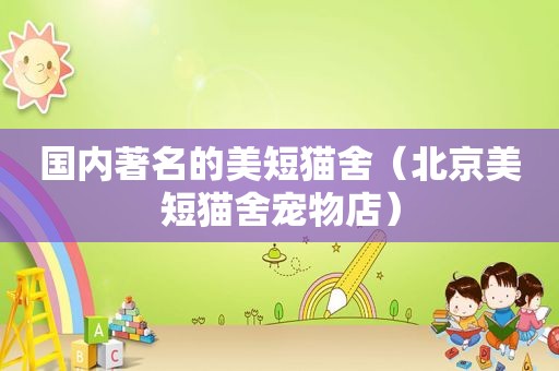 国内著名的美短猫舍（北京美短猫舍宠物店）