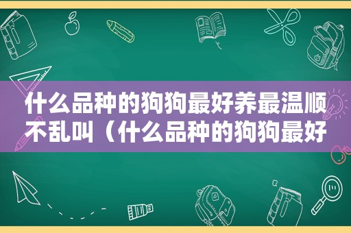 什么品种的狗狗最好养最温顺不乱叫（什么品种的狗狗最好养最温顺）