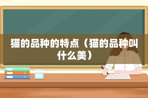 猫的品种的特点（猫的品种叫什么美）