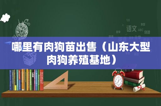 哪里有肉狗苗出售（山东大型肉狗养殖基地）