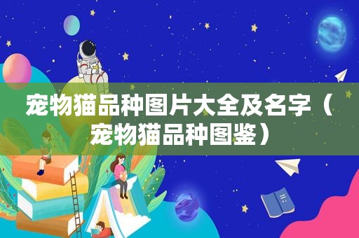 宠物猫品种图片大全及名字（宠物猫品种图鉴）