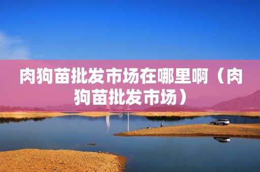 肉狗苗批发市场在哪里啊（肉狗苗批发市场）