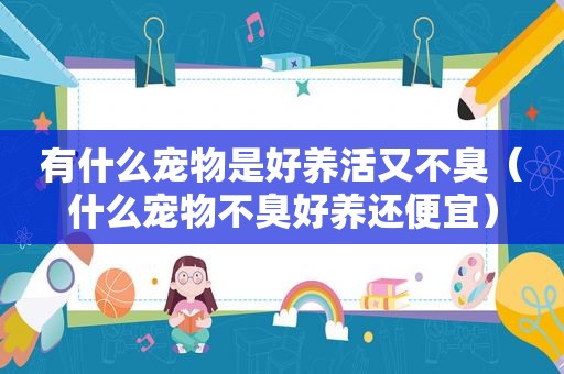 有什么宠物是好养活又不臭（什么宠物不臭好养还便宜）