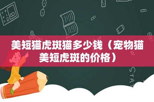 美短猫虎斑猫多少钱（宠物猫美短虎斑的价格）