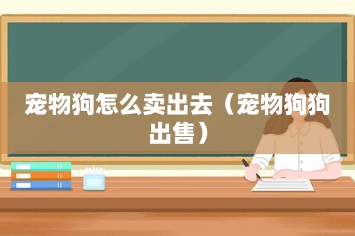宠物狗怎么卖出去（宠物狗狗出售）