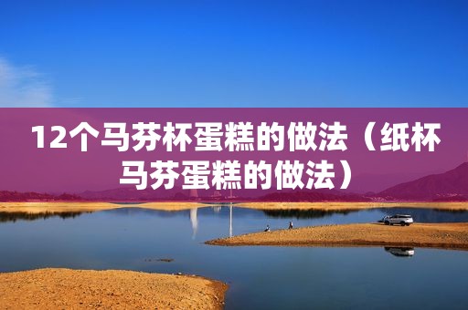 12个马芬杯蛋糕的做法（纸杯马芬蛋糕的做法）