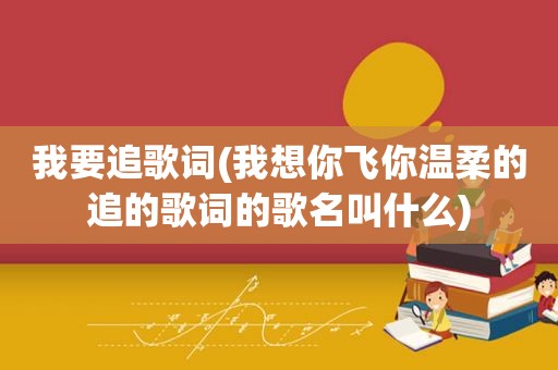 我要追歌词(我想你飞你温柔的追的歌词的歌名叫什么)