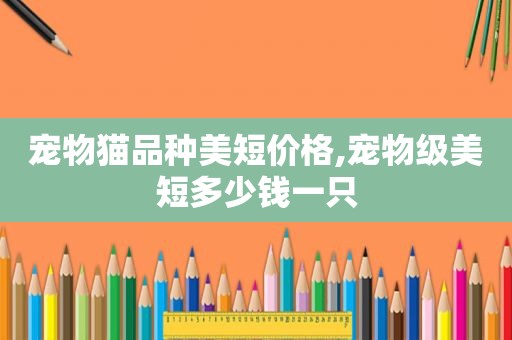 宠物猫品种美短价格,宠物级美短多少钱一只
