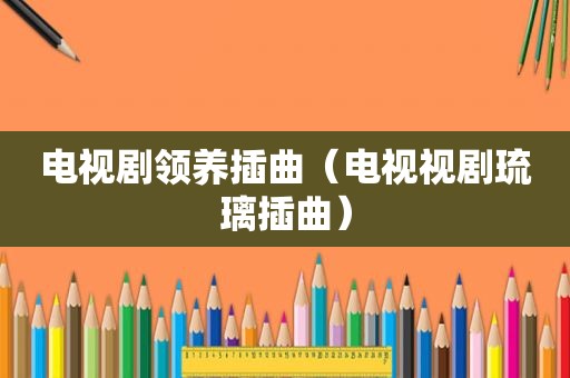 电视剧领养插曲（电视视剧琉璃插曲）