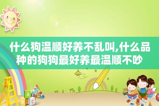什么狗温顺好养不乱叫,什么品种的狗狗最好养最温顺不吵
