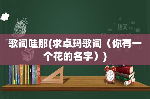 歌词哇那(求卓玛歌词（你有一个花的名字）)