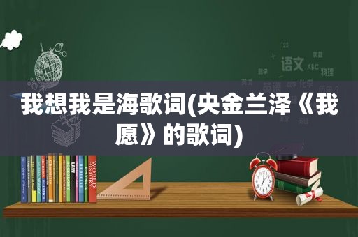 我想我是海歌词(央金兰泽《我愿》的歌词)  第1张