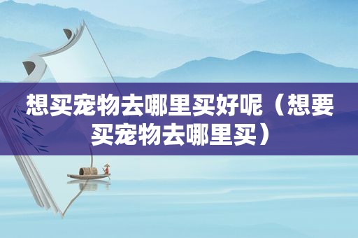想买宠物去哪里买好呢（想要买宠物去哪里买）
