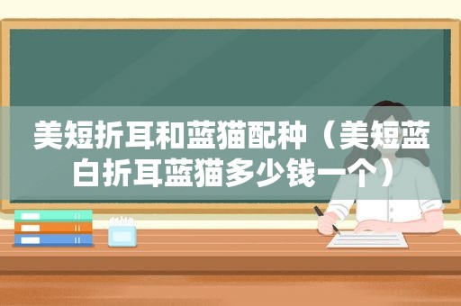 美短折耳和蓝猫配种（美短蓝白折耳蓝猫多少钱一个）
