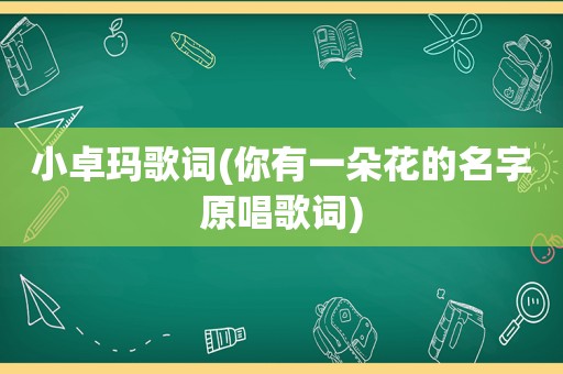 小卓玛歌词(你有一朵花的名字原唱歌词)