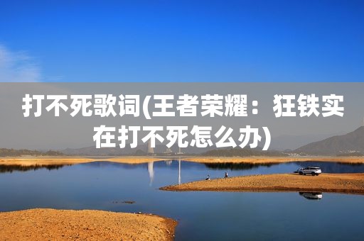 打不死歌词(王者荣耀：狂铁实在打不死怎么办)