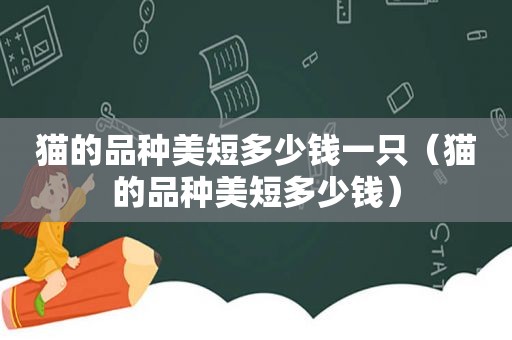 猫的品种美短多少钱一只（猫的品种美短多少钱）