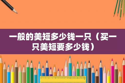 一般的美短多少钱一只（买一只美短要多少钱）