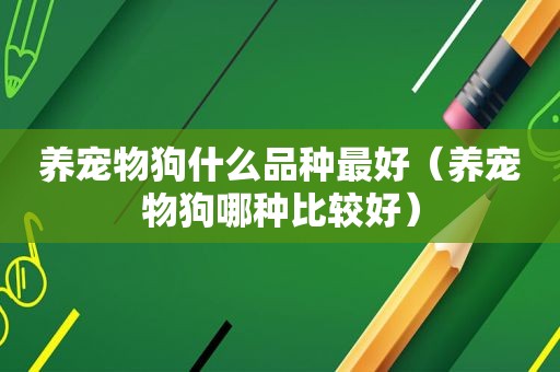 养宠物狗什么品种最好（养宠物狗哪种比较好）