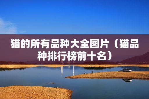 猫的所有品种大全图片（猫品种排行榜前十名）