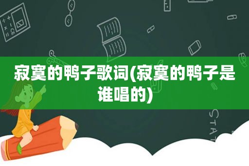 寂寞的鸭子歌词(寂寞的鸭子是谁唱的)