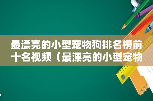 最漂亮的小型宠物狗排名榜前十名视频（最漂亮的小型宠物狗排名榜前十名）