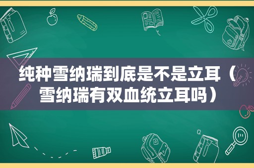 纯种雪纳瑞到底是不是立耳（雪纳瑞有双血统立耳吗）