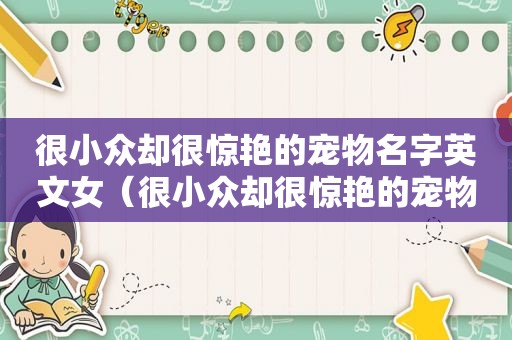 很小众却很惊艳的宠物名字英文女（很小众却很惊艳的宠物名字）