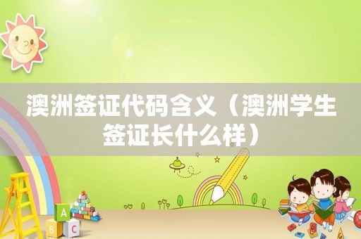 澳洲签证代码含义（澳洲学生签证长什么样）
