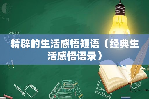 精辟的生活感悟短语（经典生活感悟语录）
