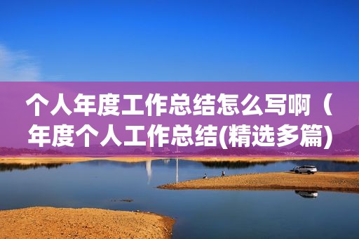 个人年度工作总结怎么写啊（年度个人工作总结( *** 多篇)）