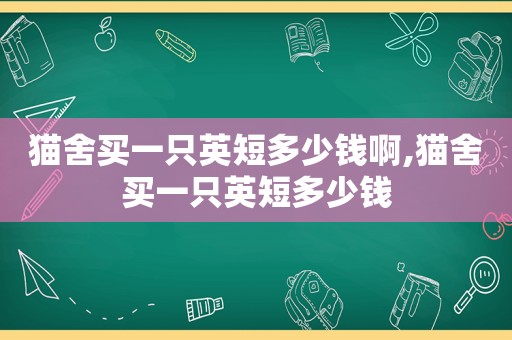 猫舍买一只英短多少钱啊,猫舍买一只英短多少钱