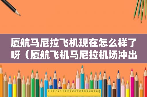 厦航马尼拉飞机现在怎么样了呀（厦航飞机马尼拉机场冲出跑道）