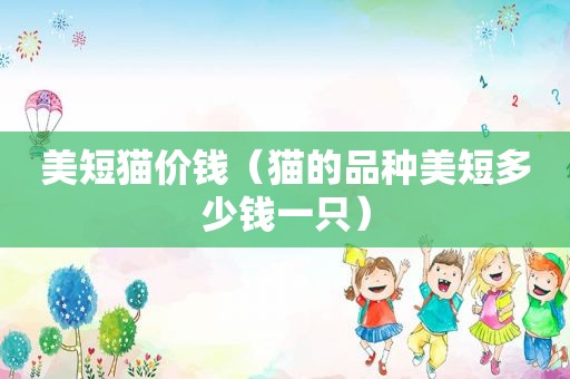 美短猫价钱（猫的品种美短多少钱一只）