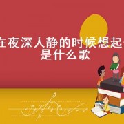 在夜深人静的时候想起他是什么歌