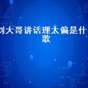 刘大哥讲话理太偏是什么歌