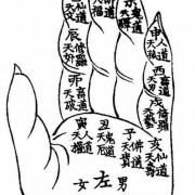 达摩一掌经