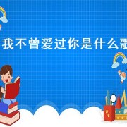 我不曾爱过你是什么歌（我从未爱过你是什么歌里的歌词）