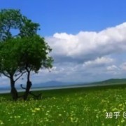 有没有能提高记忆力的歌曲？