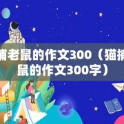 猫捕老鼠的作文300（猫捕老鼠的作文300字）