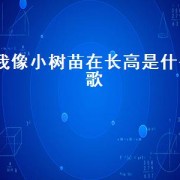 我像小树苗在长高是什么歌